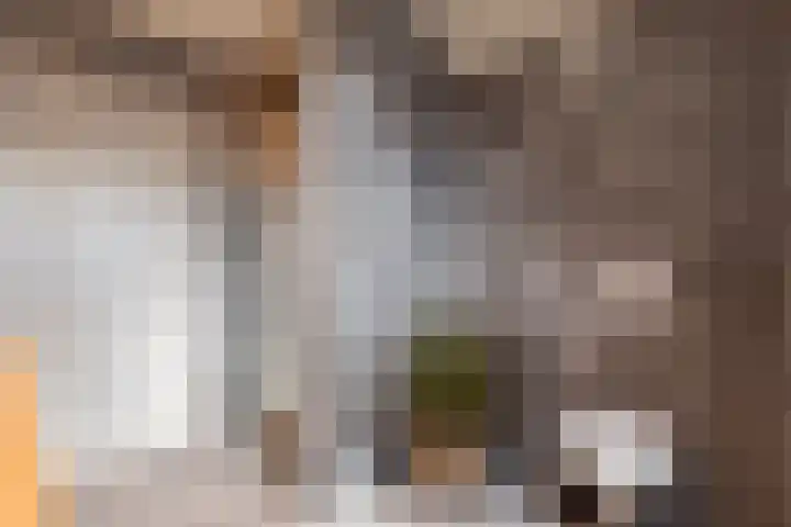 Buorren 74 Bitgum thumbnail 39