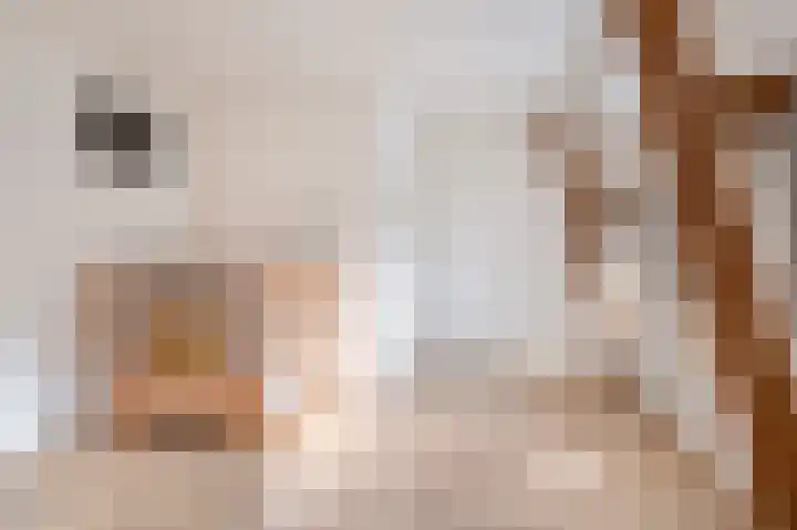 Buorren 74 Bitgum thumbnail 44
