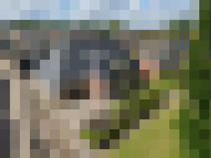 Buorren 74 Bitgum thumbnail 6