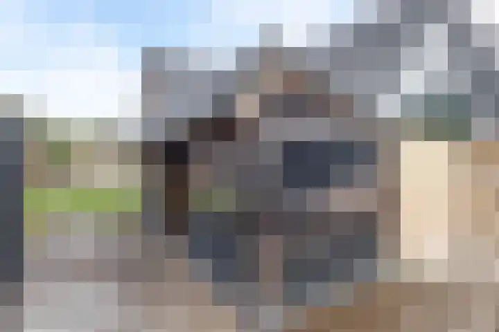 Buorren 74 Bitgum thumbnail 68