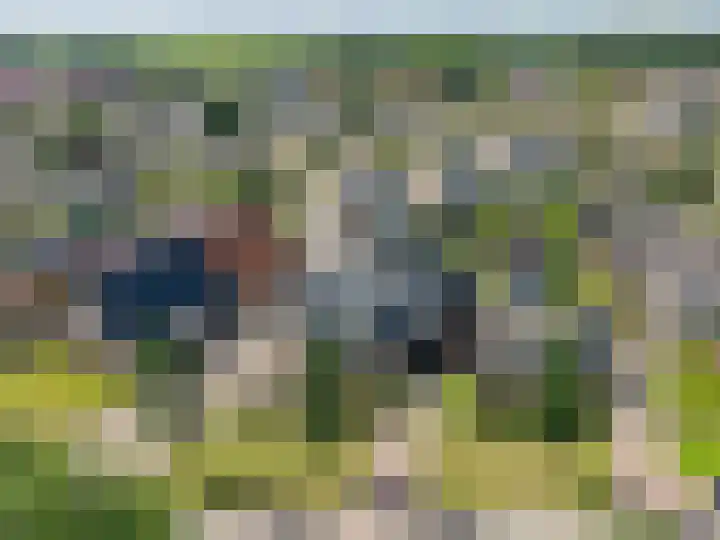 Buorren 74 Bitgum thumbnail 7