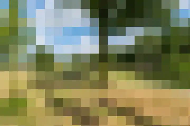 Buorren 74 Bitgum thumbnail 70