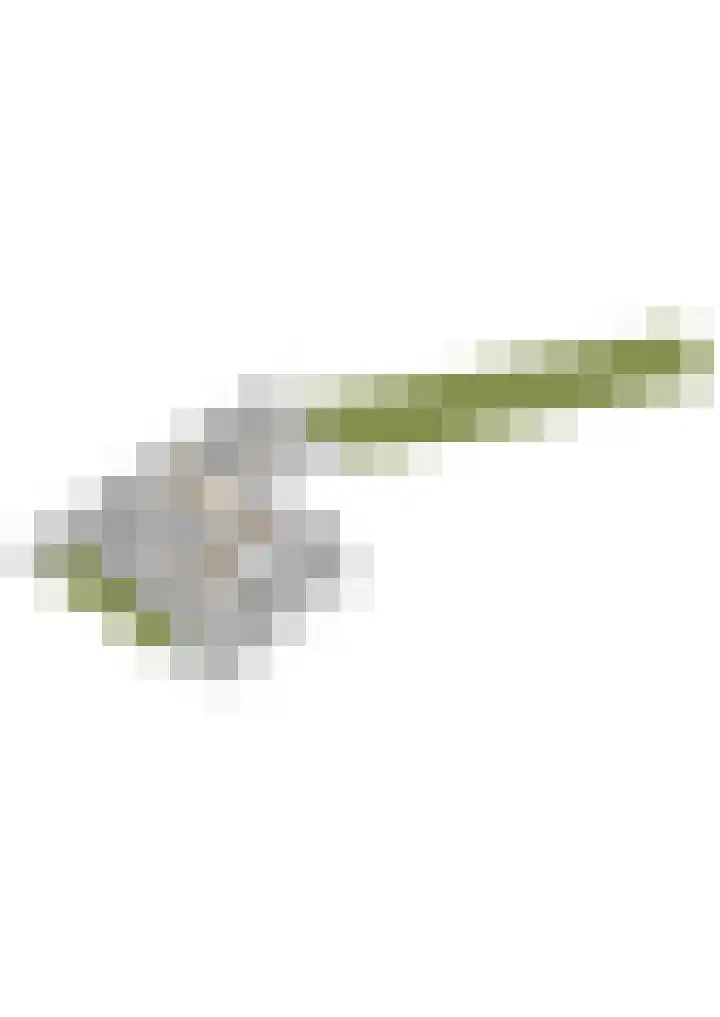 Buorren 74 Bitgum thumbnail 76