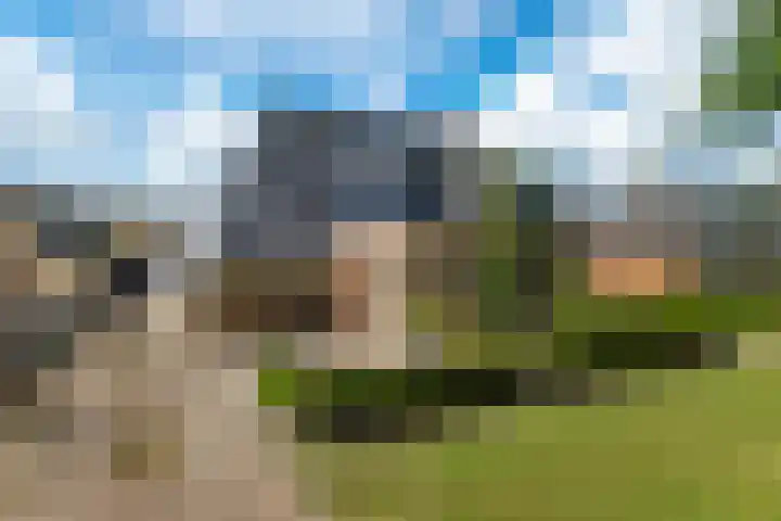 Buorren 74 Bitgum thumbnail 9