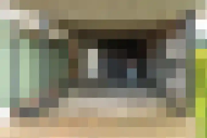 Buorren 74 Houtigehage thumbnail 10