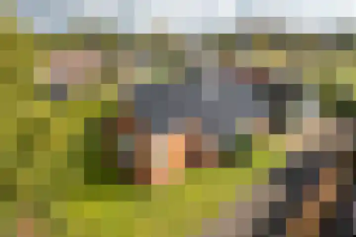Buorren 74 Houtigehage thumbnail 11