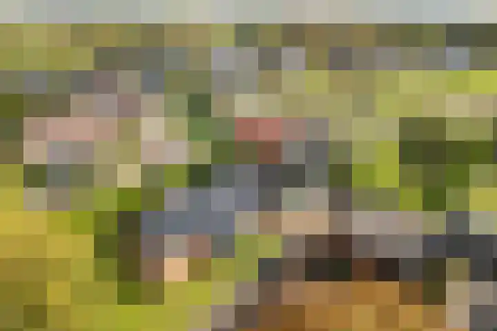 Buorren 74 Houtigehage thumbnail 12