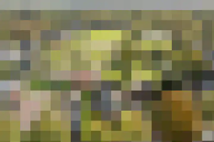 Buorren 74 Houtigehage thumbnail 13