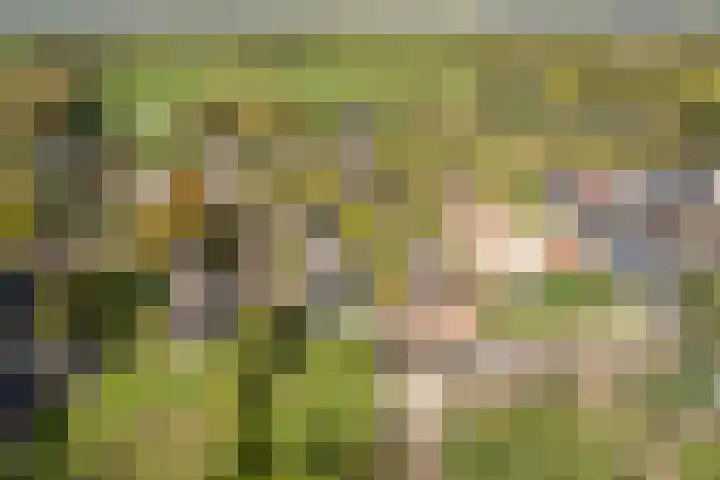 Buorren 74 Houtigehage thumbnail 14