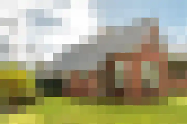 Buorren 74 Houtigehage thumbnail 16