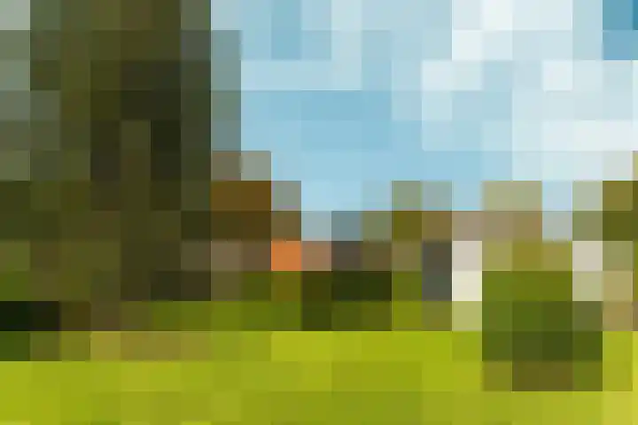 Buorren 74 Houtigehage thumbnail 17