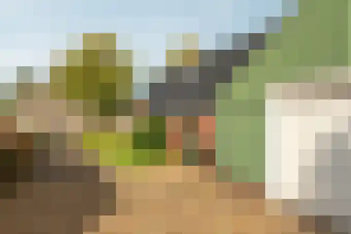 Buorren 74 Houtigehage thumbnail 18