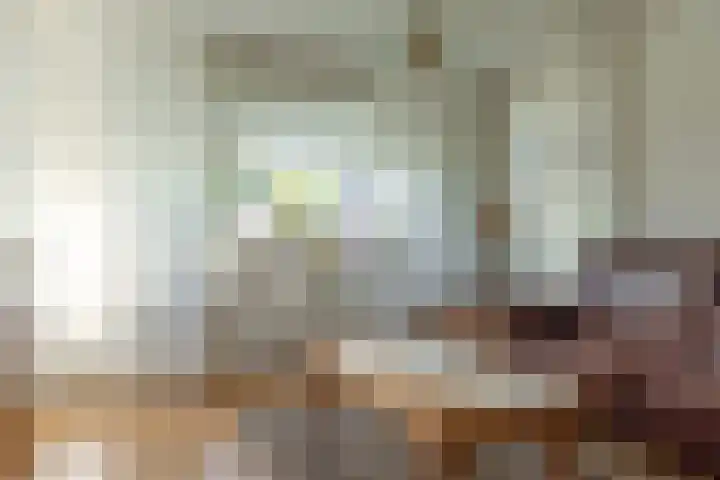 Buorren 74 Houtigehage thumbnail 19