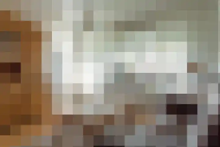 Buorren 74 Houtigehage thumbnail 20