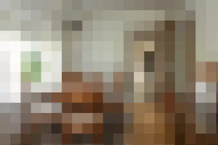 Buorren 74 Houtigehage thumbnail 24