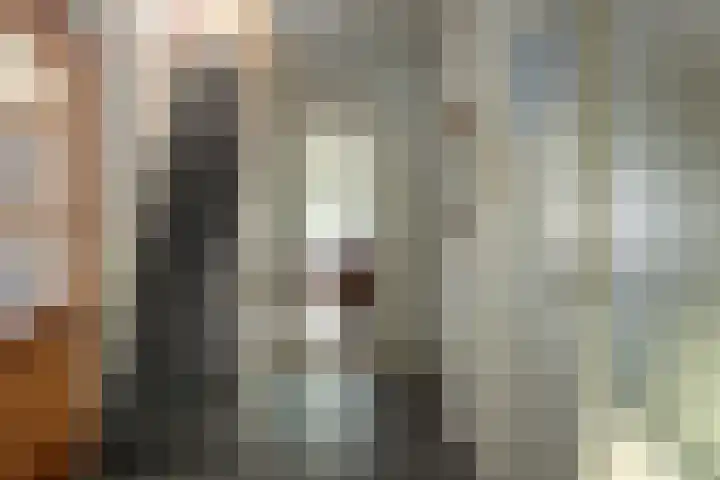 Buorren 74 Houtigehage thumbnail 28