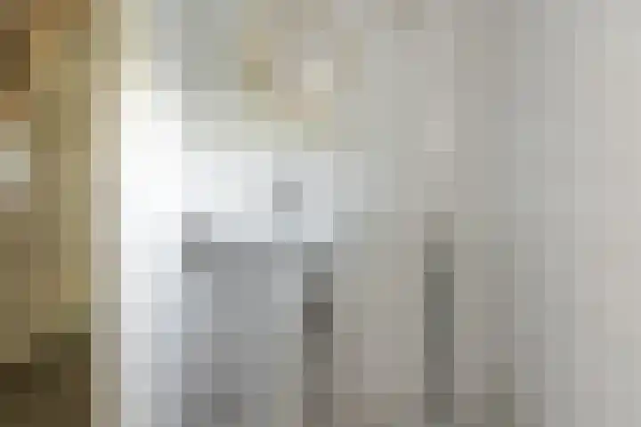 Buorren 74 Houtigehage thumbnail 30