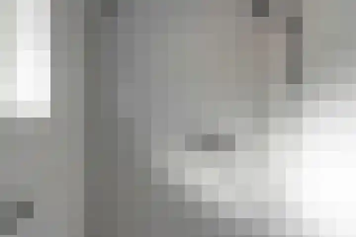 Buorren 74 Houtigehage thumbnail 31