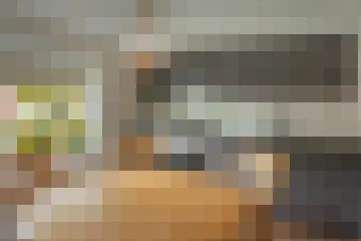 Buorren 74 Houtigehage thumbnail 33