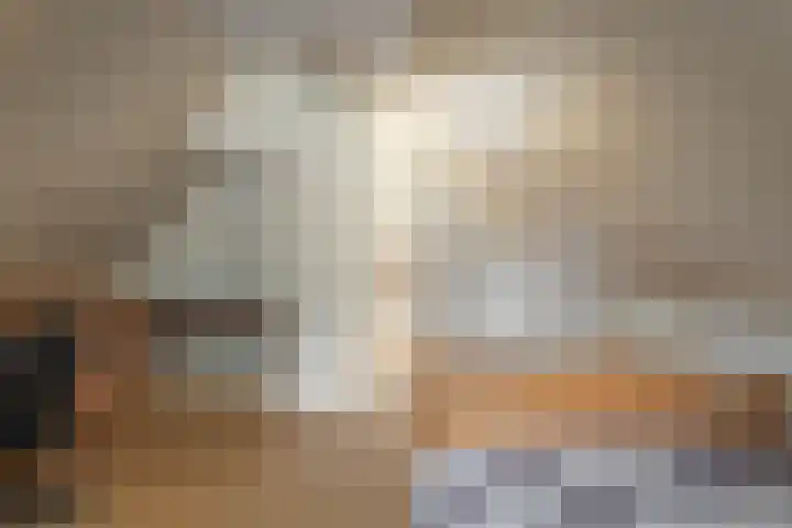 Buorren 74 Houtigehage thumbnail 38