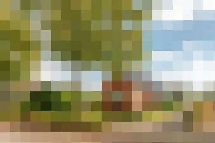 Buorren 74 Houtigehage thumbnail 4
