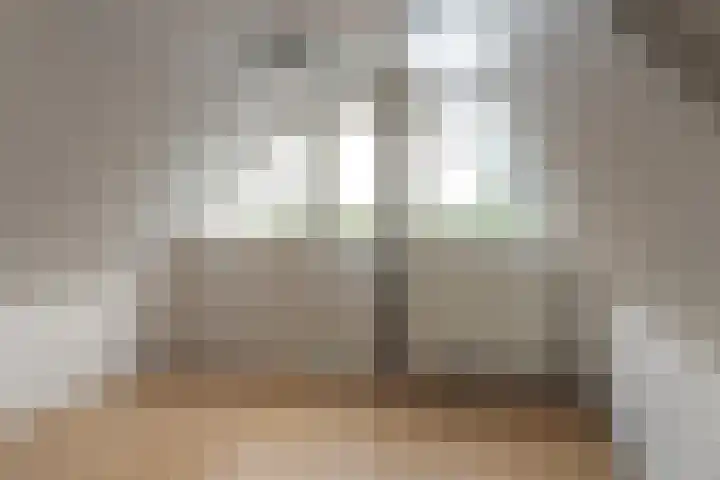 Buorren 74 Houtigehage thumbnail 40