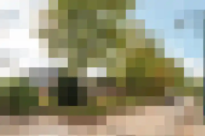 Buorren 74 Houtigehage thumbnail 5