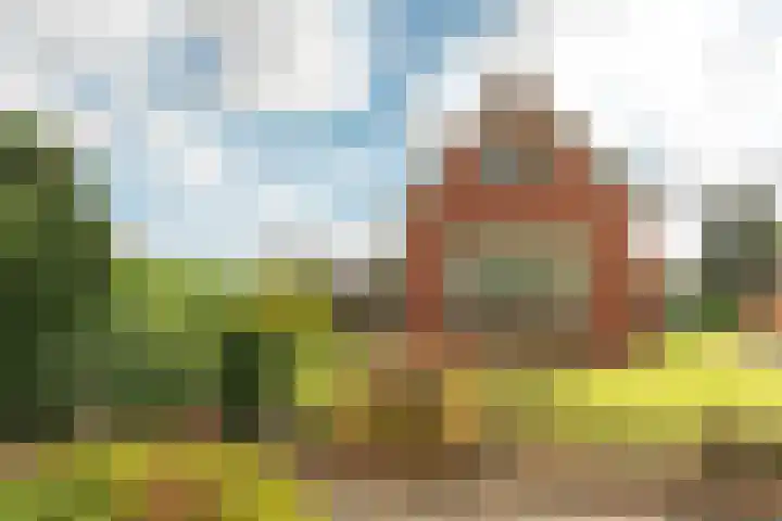Buorren 74 Houtigehage thumbnail 6