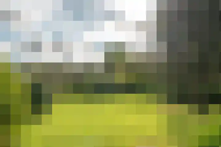 Buorren 74 Houtigehage thumbnail 8