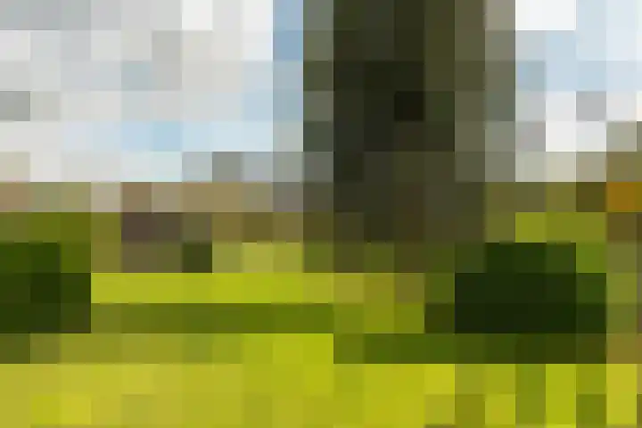Buorren 74 Houtigehage thumbnail 9