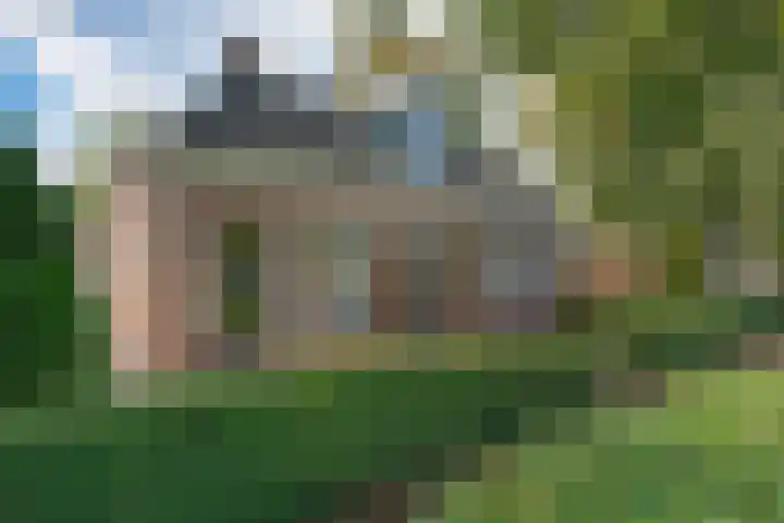 Buorren 8 Bitgum foto 2