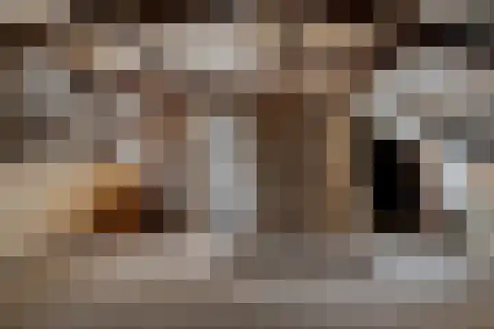 Buorren 8 Bitgum thumbnail 31