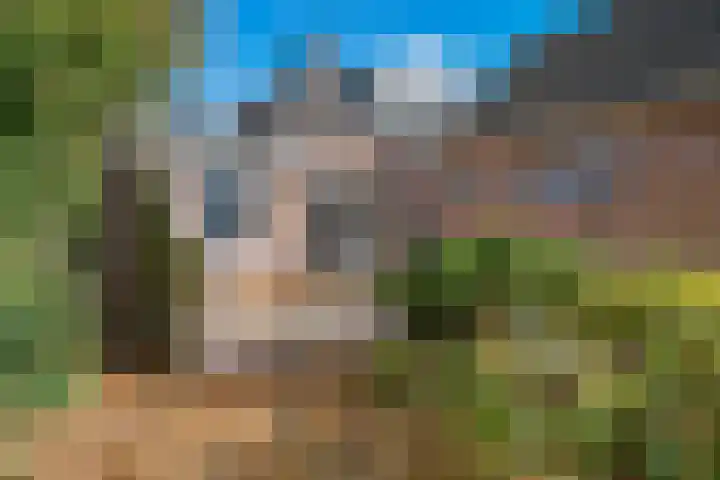 Buorren 8 Bitgum thumbnail 32
