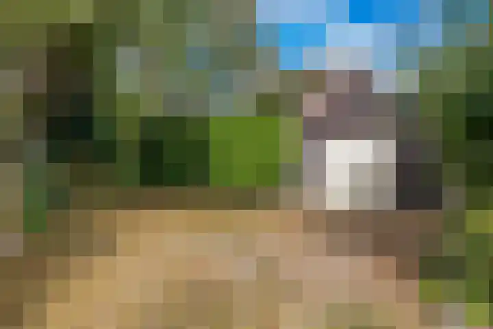 Buorren 8 Bitgum thumbnail 34