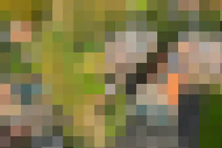 Buorren 8 Bitgum thumbnail 38