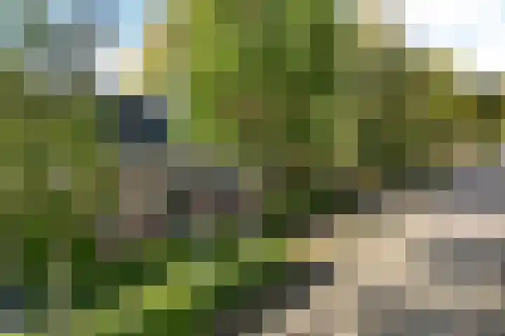 Buorren 8 Bitgum thumbnail 48