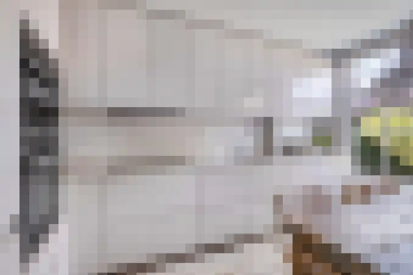 Buorren 8 Rien thumbnail 14