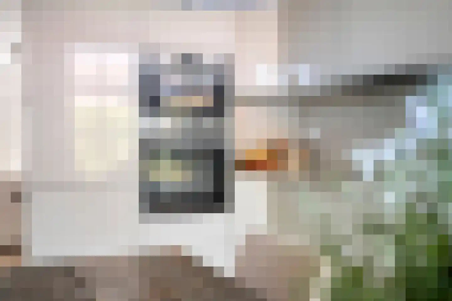 Buorren 8 Rien thumbnail 17