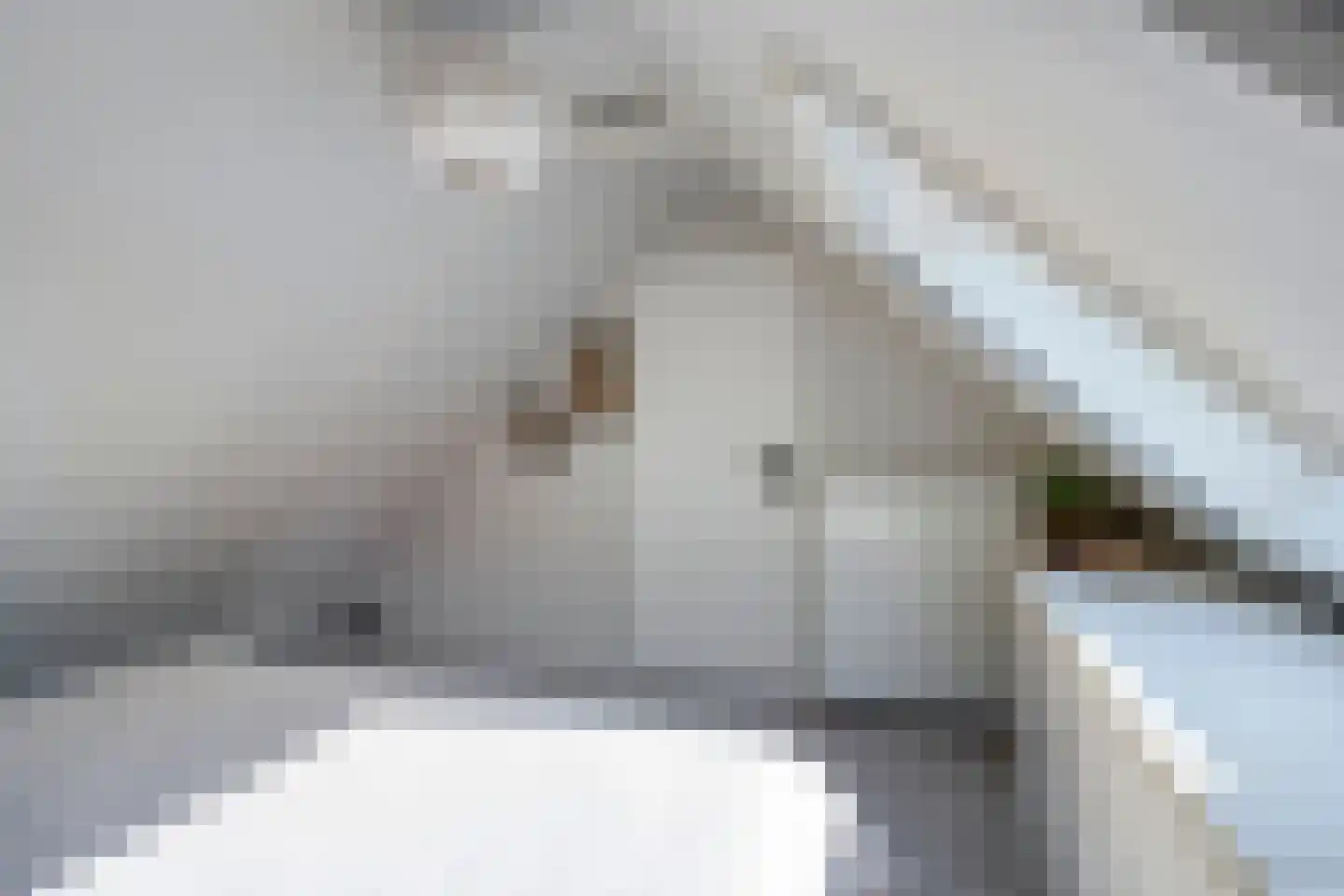 Buorren 8 Rien thumbnail 21