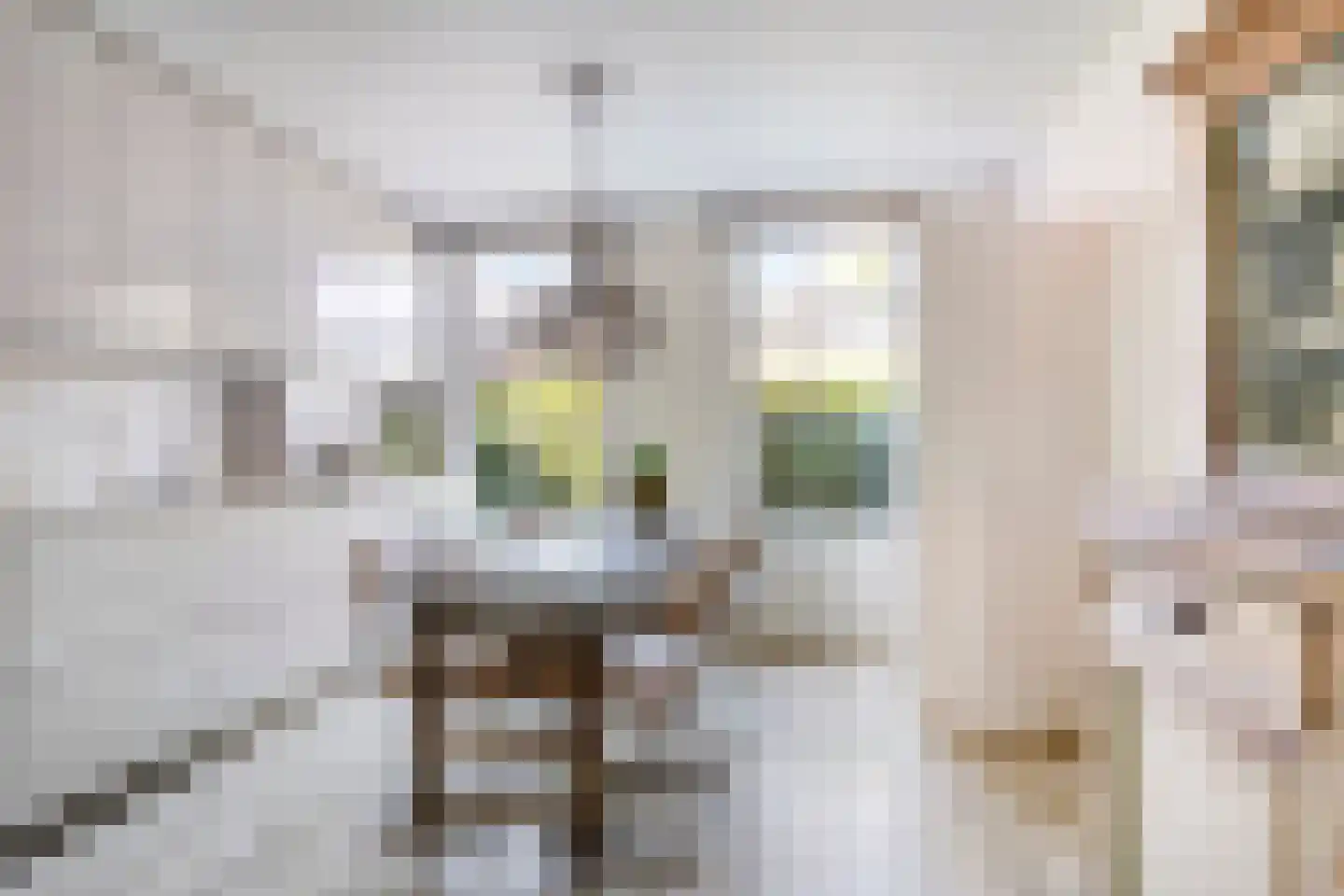 Buorren 8 Rien foto 3