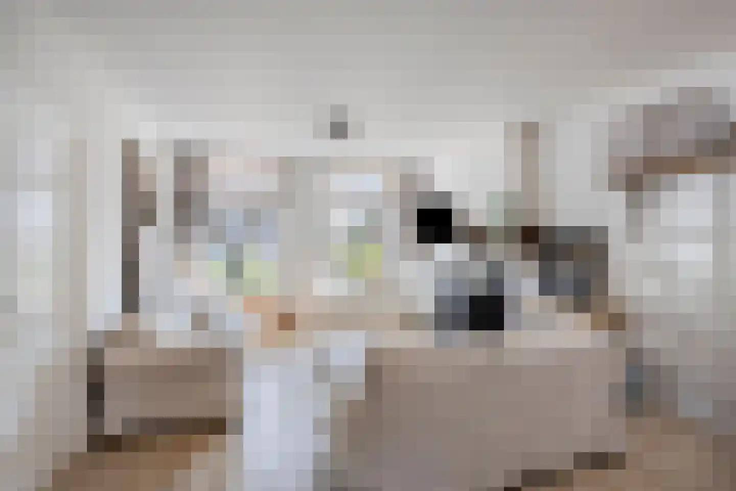 Buorren 8 Rien thumbnail 8