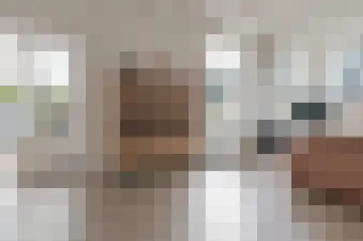 Buorren 82 Terherne thumbnail 17