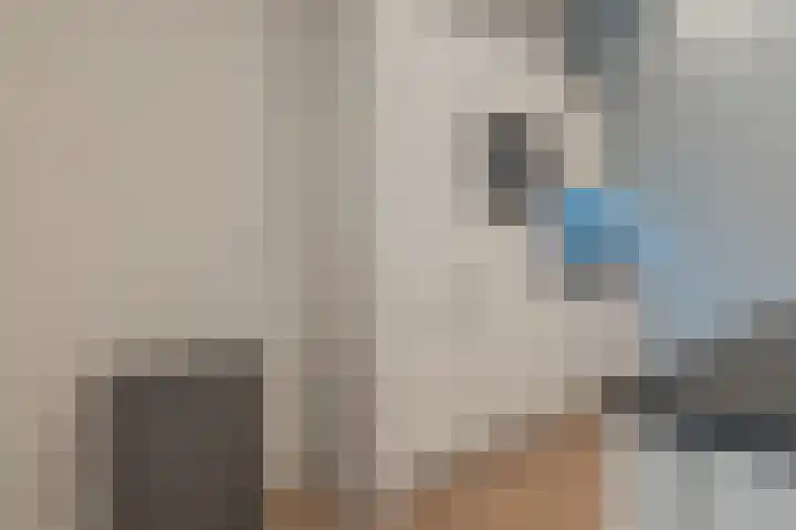Buorren 82 Terherne thumbnail 19