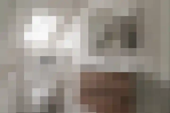 Buorren 82 Terherne thumbnail 4