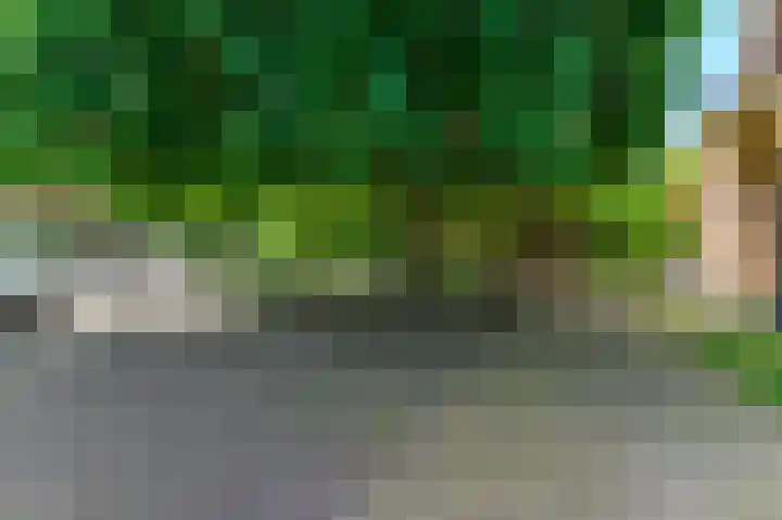 Buorren 82 Terherne thumbnail 48