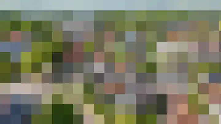 Buorren 82 Terherne thumbnail 51