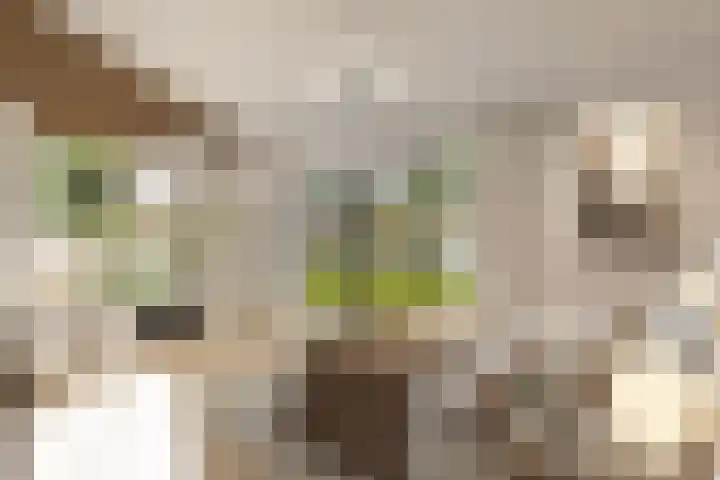 Buorren 82 Terherne thumbnail 53