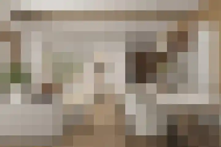 Buorren 82 Terherne thumbnail 54
