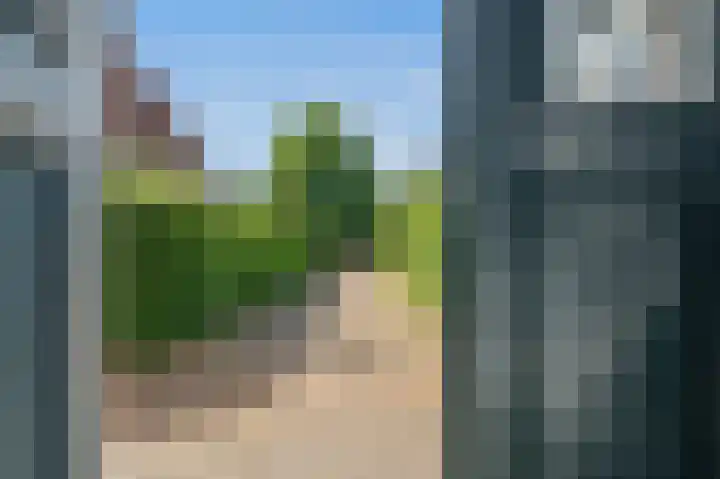 Buorren 82 Terherne thumbnail 7