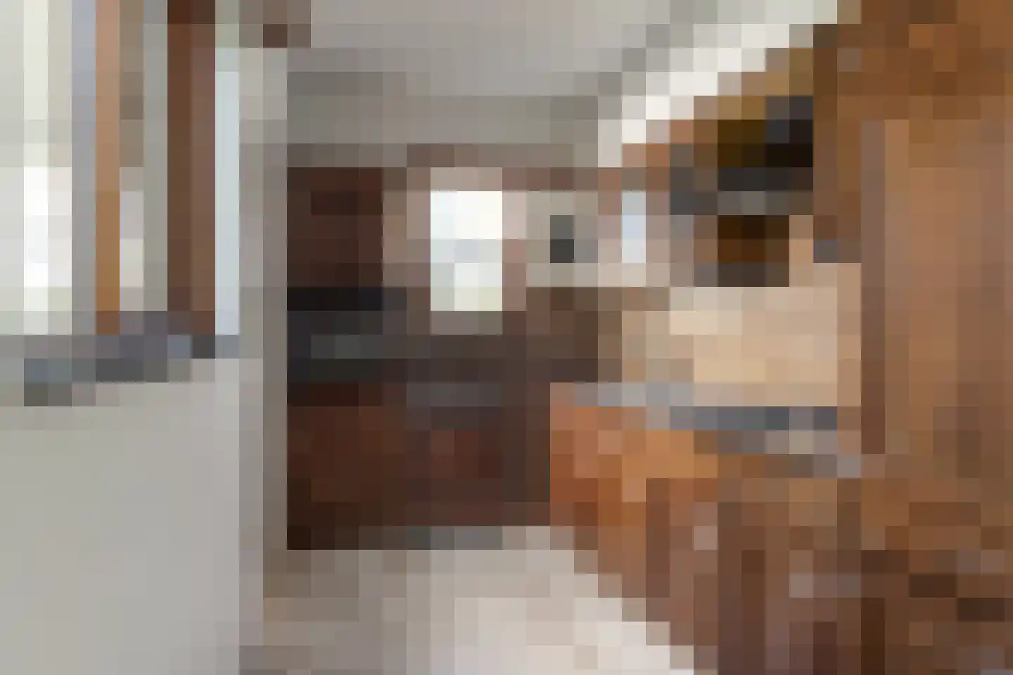 Buorren 89 Houtigehage thumbnail 15